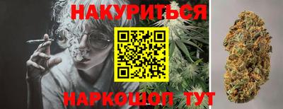 сатива Волгодонск
