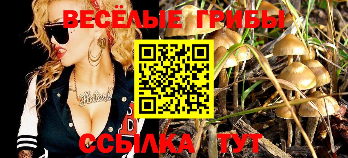 Ипатово  Псилоцибиновые грибы прущие грибы  Псилоцибиновые грибы мицелий  Вход с VPN 