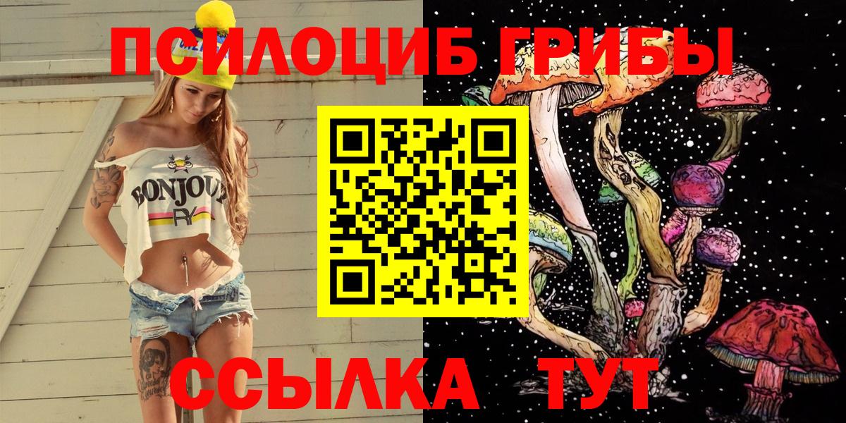 Псилоцибиновые грибы Cubensis Ипатово